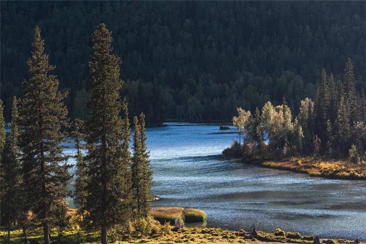 Kanas Fairy Bay, Natural River & Taiga Forest Scenery, Xinjiang China Scenic view of Kanas Fairy Bay with winding river, dense coniferous taiga forest, mountain woodland landscape in Xinjiang