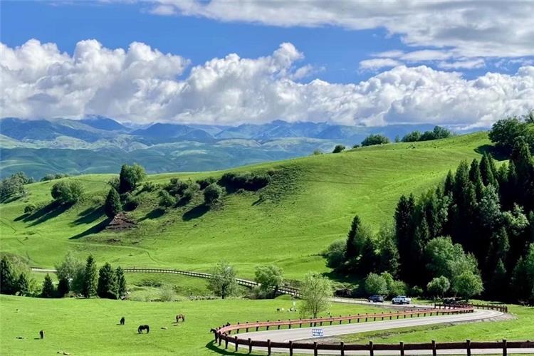 Lush green rolling hills of Narat grassland, winding mountain highway, horses grazing under fluffy white clouds