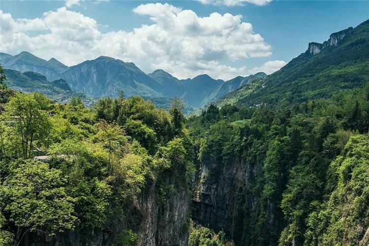 Wide view of Enshi Grand Canyon, steep karst cliffs covered with lush green forest