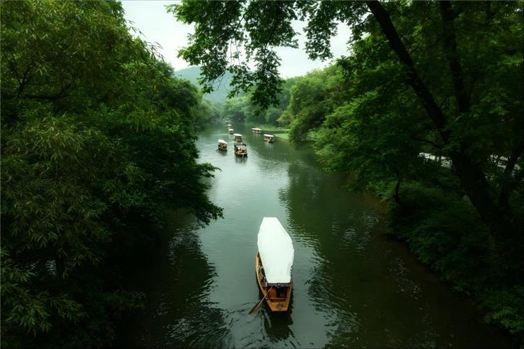 West Lake Boat Tour, Hangzhou Wooden tourist boats gliding through a green tree-lined waterway on West Lake