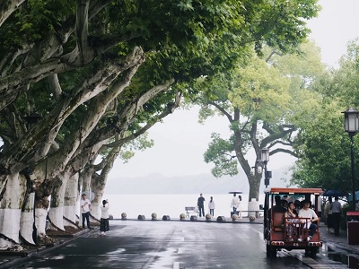 Visitors wandering shaded West Lake road during Hangzhou tour