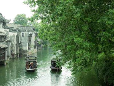 Wuzhen Dongzha Daytime Scenery: Lush Green Canals & Ancient Riverside Houses