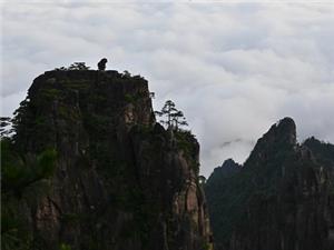 Famous Monkey Watching the Sea Rock Huangshan Scenic Day Tour
