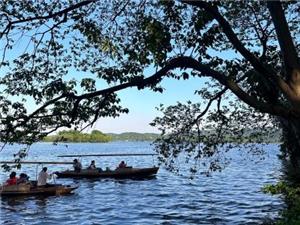 Peaceful view of wooden sightseeing boats on Hangzhou West Lake