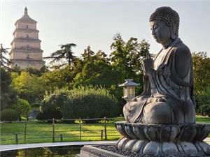 Giant Wild Goose Pagoda Buddha Statue Ancient Temple Tour from Xi'an