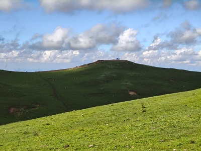 Vast Rolling Green Alpine Pasture of Gupo Grassland in Tianshui Gansu Natural Landscape Trip