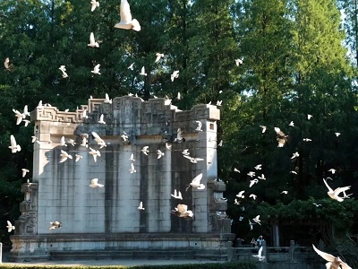 Nanjing Sun Yat-sen Mausoleum Music Stage with Flying White Pigeons City Tour
