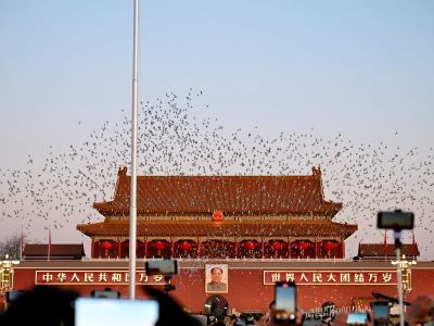 Tiananmen Gate of Beijing, groups of white pigeons flying over the landmark building, tourists taking photos