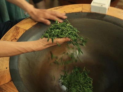 Traditional Fu Tea Hand-roasting Craft Experience in Xi'an Tea Culture Tour