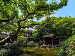 Peaceful ancient garden pond, wooden pavilion, lush green old trees and traditional Suzhou-style buildings inside Tongli Ancient Town