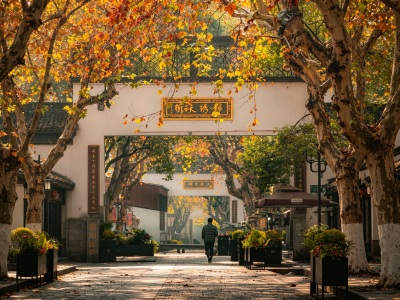 The scenery of plane trees on the Imperial Street of the Southern Song Dynasty in autumn