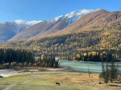 Kanas River in Xinjiang with turquoise water, golden forests, snow-capped mountains, and peaceful valley scenery