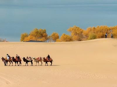 Taklamakan Desert in Xinjiang with golden sand dunes, oasis scenery, blue water, and camel riders in the desert