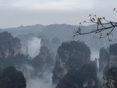 Misty sandstone pillars and mountains in Zhangjiajie National Forest Park, China
