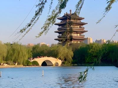 Ancient pavilion and willow trees beside Daming Lake in Jinan, Shandong, China