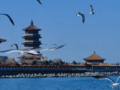 Flying seagulls over blue sea, ancient Chinese pagoda of Penglai Pavilion, Shandong