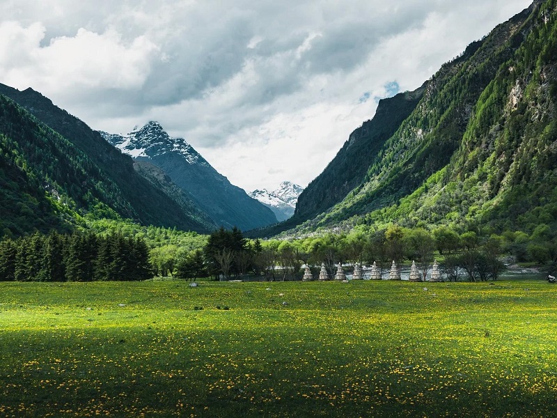Siguniang Mountain with snow-capped peaks and green meadow