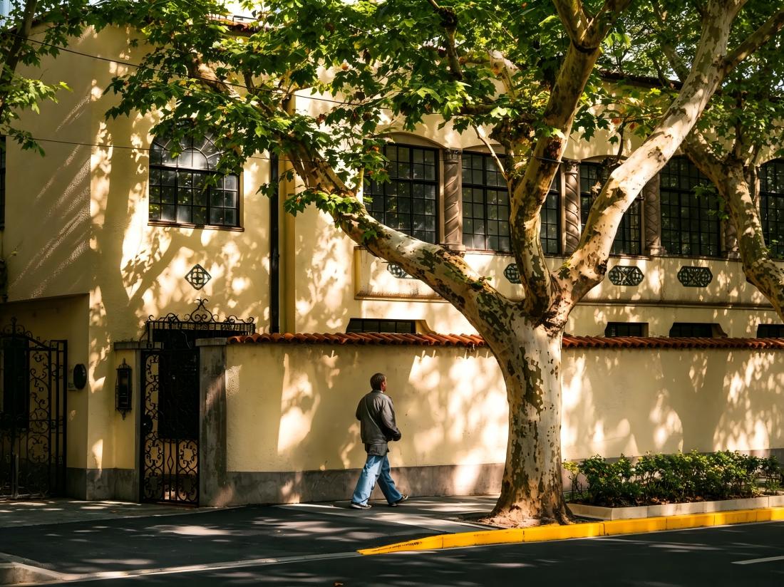 Former French Concession, Shanghai street scenery