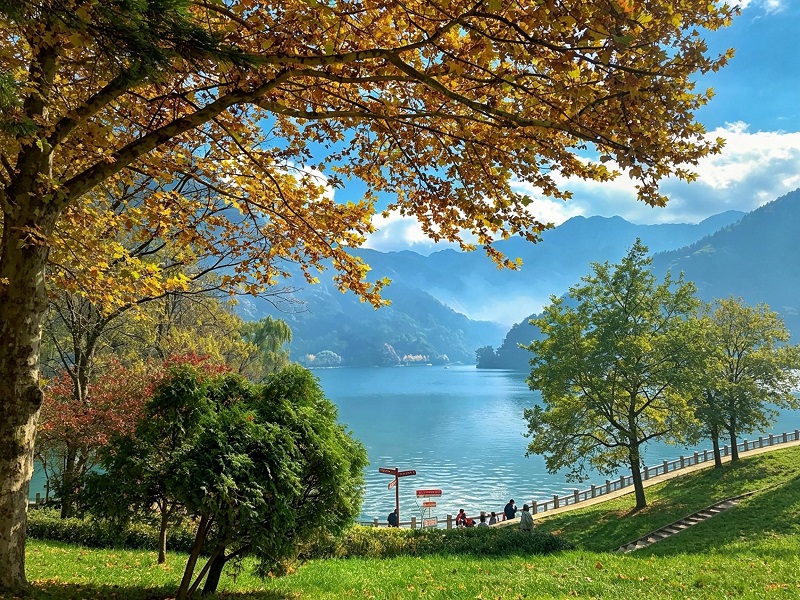 Fall scenery of Cuihua Mountain lakeshore
