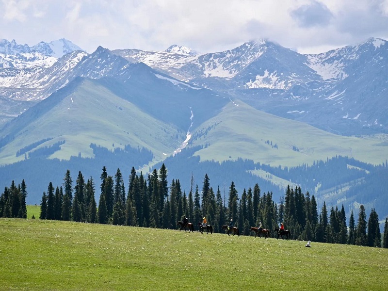 Kalajun Grassland in Xinjiang with green meadows, snow-capped mountains, forests, and a peaceful valley landscape