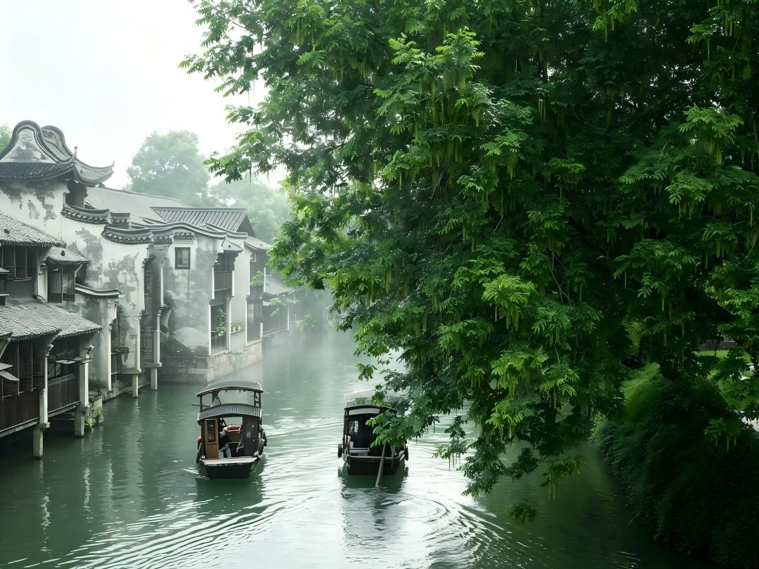 Wuzhen Dongzha Daytime Scenery: Lush Green Canals & Ancient Riverside Houses