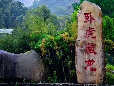 Anji Bamboo Sea Movie Crouching Tiger, Hidden Dragon Location Anji Bamboo Sea Movie Crouching Tiger, Hidden Dragon Location