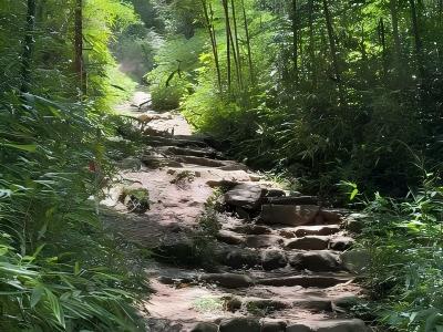 Moganshan Hiking on the Chiang Kai shek Ancient Trail