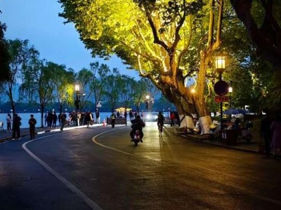 West Lake tree-lined road night scene