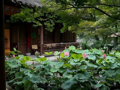 Overview of the Tea Bar Environment in the China Tea Museum