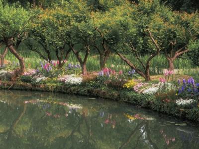 The grand occasion of the April Flower Festival in Xixi Wetland