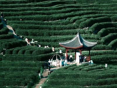 Shifeng Mountain Pavilion and Mountain Road