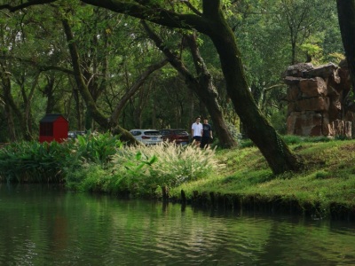 The lush green scenery of Xixi Wetland National Park The lush green scenery of Xixi Wetland National Park