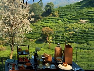 Afternoon Tea at Maoju Longjing Tea Mountain Afternoon Tea at Maoju Longjing Tea Mountain