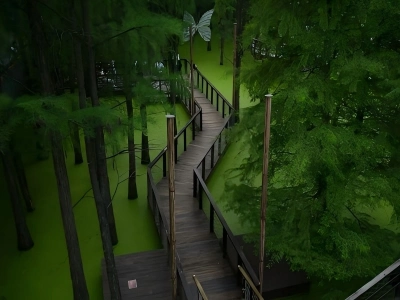 Qingshan Lake Water Forest Wooden Walkway