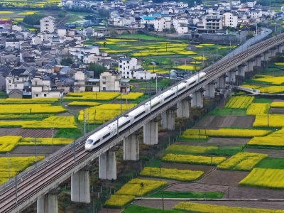 High Speed Train Running Through Rapeseed Flower Fields High Speed Train Running Through Rapeseed Flower Fields