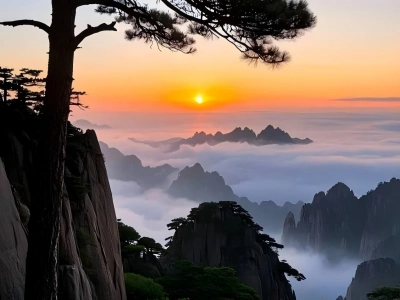 Huangshan Sunset Sea of Clouds with Pine Silhouette Huangshan Sunset Sea of Clouds with Pine Silhouette