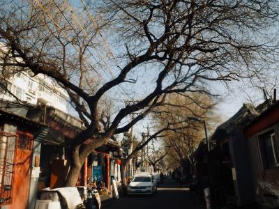 Beijing Hutong Scenery