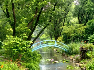 Stream and Arch Bridge in Gongqing Forest Park Shanghai