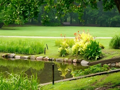 Lawn and Lakeside View in Gongqing Forest Park