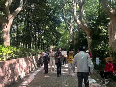 Tree-lined Path at Shanghai Matchmaking Corner