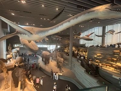 River of Life Exhibition at Shanghai Natural History Museum