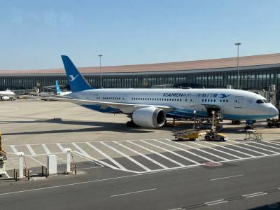 Xiamen Airlines Pudong to Daxing flights