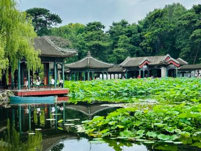 Lotus Pond View at Xiequ Garden in the Summer Palace Beijing