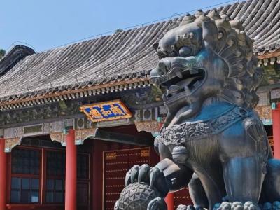 Bronze Lion Statue at the East Gate of the Summer Palace Beijing