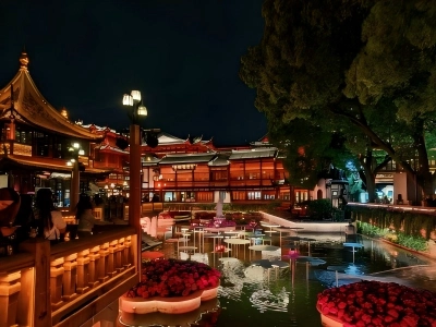 Night View of Yu Garden, Shanghai