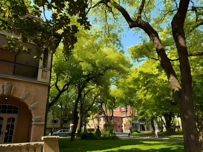 Historic Villa Street in Summer, Shanghai