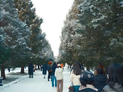 Snow?covered cedar pathway with tourists at Beijing Temple of Heaven