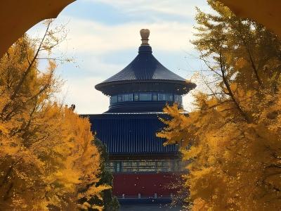 Hall of Prayer for Good Harvests framed by golden autumn ginkgo?trees Hall of Prayer for Good Harvests framed by golden autumn ginkgo?trees