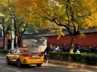 Taxi drivers dropping off passengers outside the Temple of Heaven