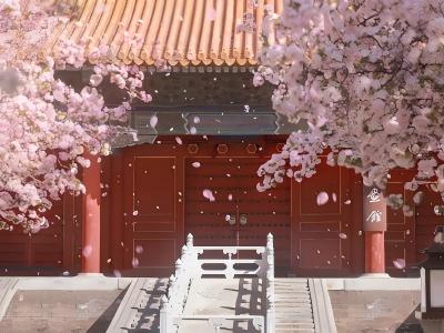 Crabapple blossoms bloom in the Wenhua Hall of the Forbidden City in spring
